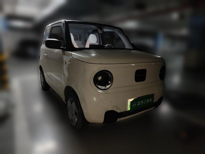 2023 Panda mini 200km Endurance Bear photo 3