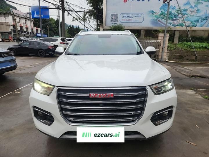 H6 2018 Red Label 2.0T AT Luxury photo 2