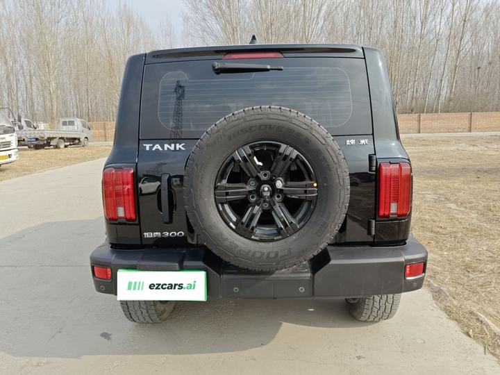 300 2021 Off-road 2.0T Conqueror photo 3
