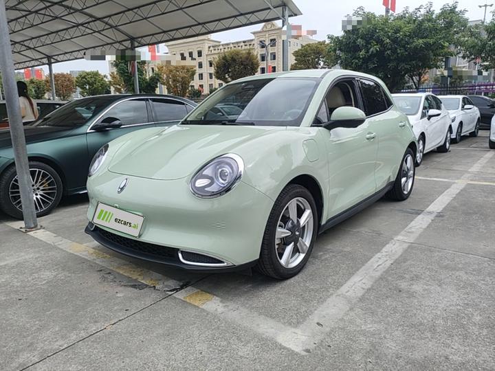 Good Cat 2023 401km Standard Range Luxury LFP
