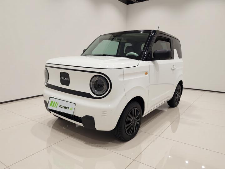 2024 Panda mini 200km Endurance Bear