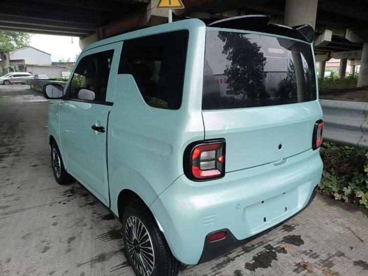 2023 Panda mini 200km Endurance Bear photo 4