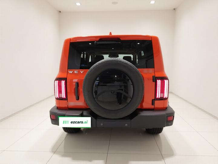 300 2021 Off-road 2.0T Conqueror photo 5