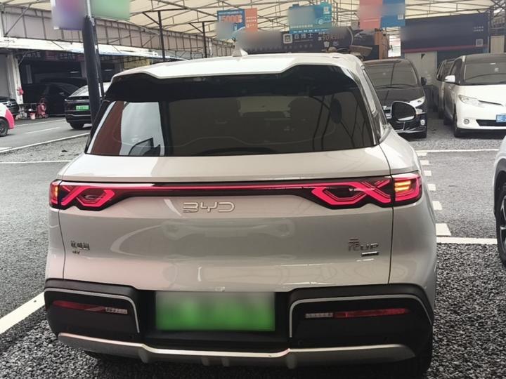Yuan UP 2025 ADAS 401KM photo 3