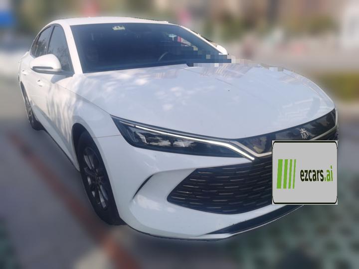 Qin L 2024 DM-i 80KM Leading photo 3