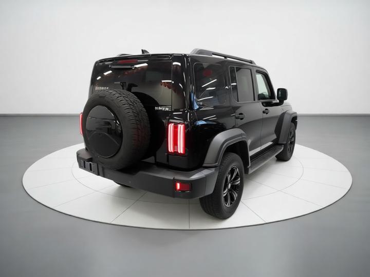 300 2021 Off-road 2.0T photo 6