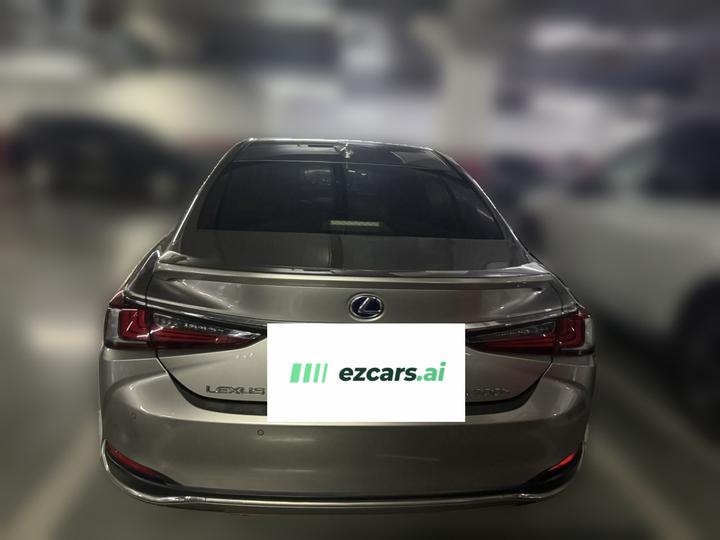 ES 2018 300h Excellence China VI photo 5