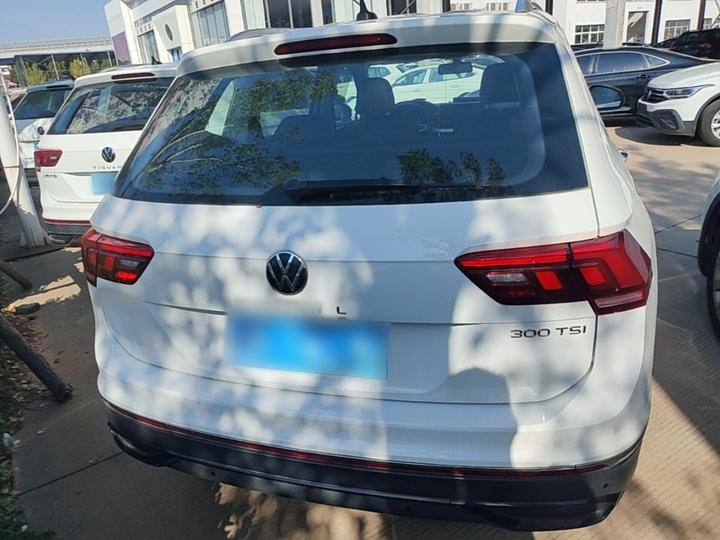 Tiguan L 2024 300TSI AT RWD photo 5
