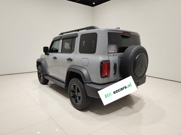 300 2021 Off-road 2.0T Conqueror photo 4