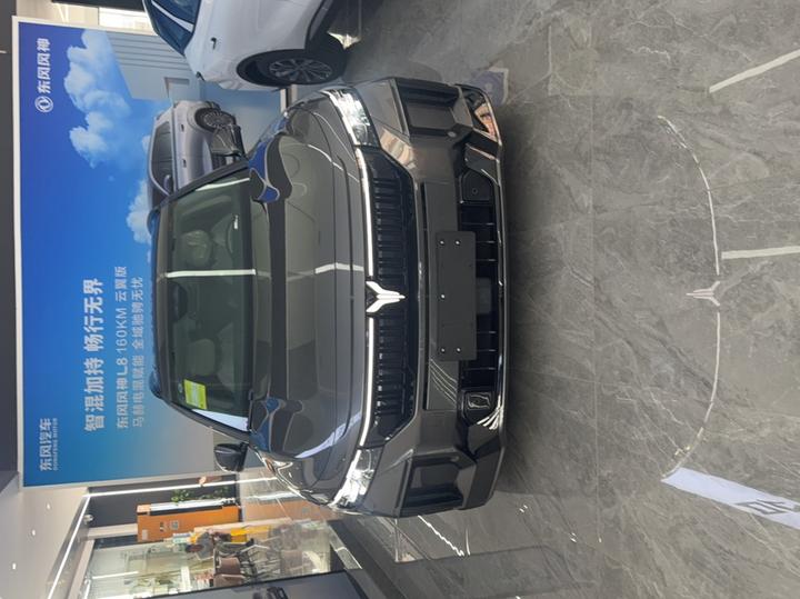 Voyah FREE 2025 318 259km AWD Explorer photo 2