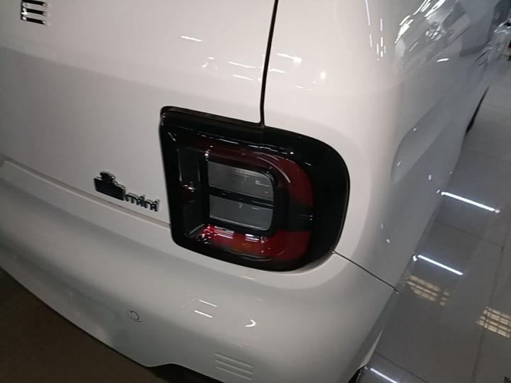 2024 Panda mini 200km Endurance Bear photo 7