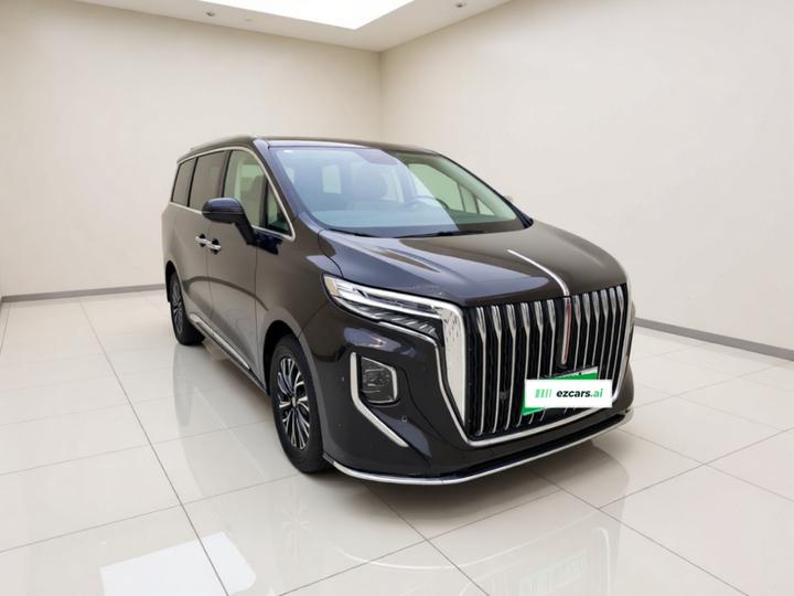 HQ9 PHEV 2024 2.0T AWD Business photo 3
