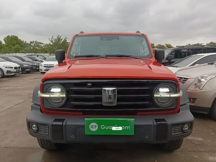 300 2021 Off-road 2.0T Conqueror photo 2