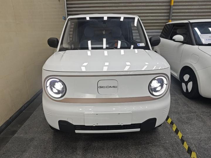 2024 Panda mini 200km Endurance Bear photo 2