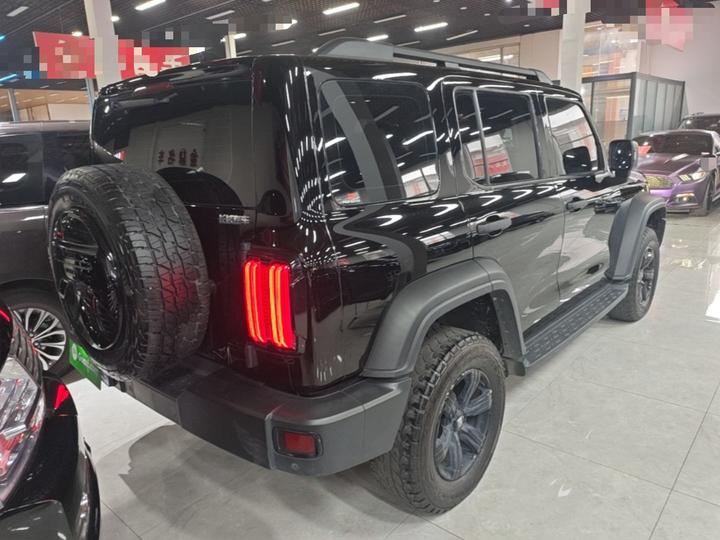 300 2023 Off-road 2.0T Conqueror photo 6