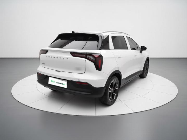 E Firefly 2022 401KM 4-Seater photo 4