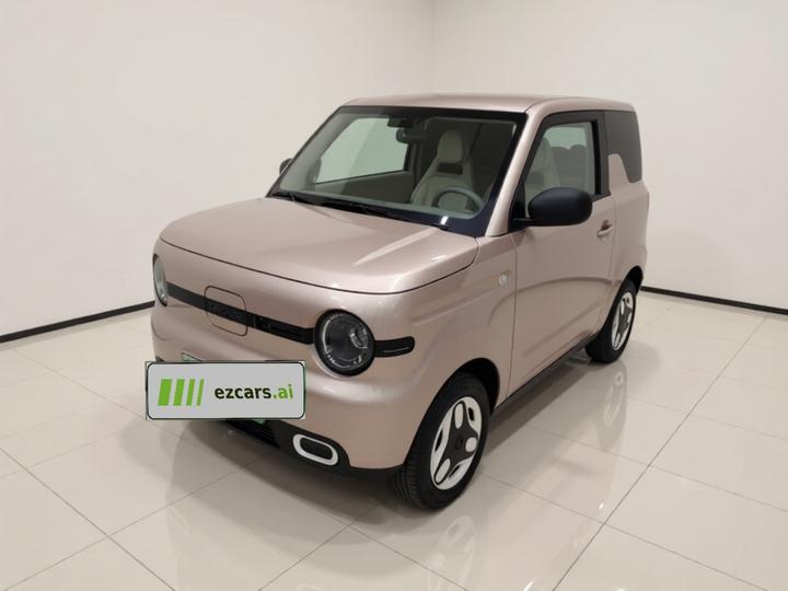 2025 Panda mini 210km Yuan