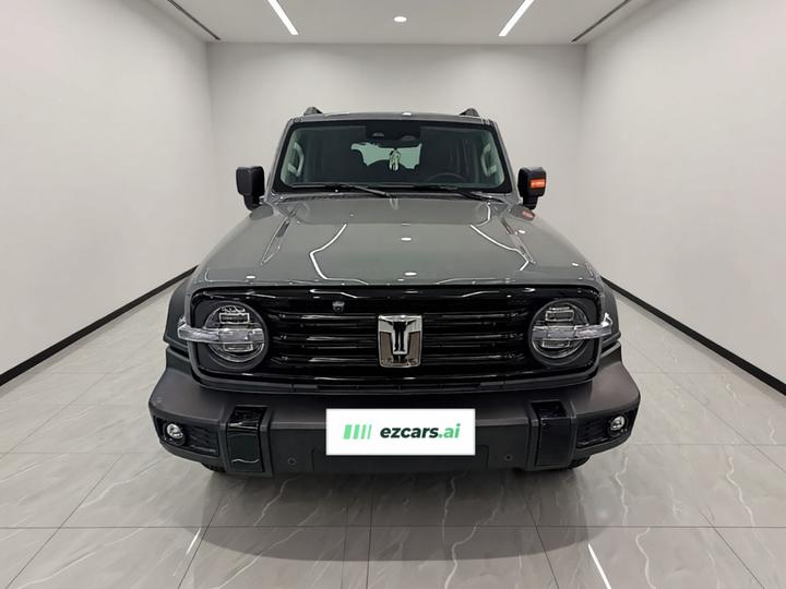 300 2021 Off-road 2.0T Conqueror photo 2