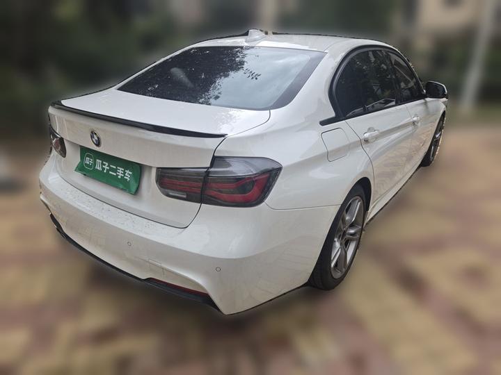 3 Series 2019 320Li M Luxury photo 6