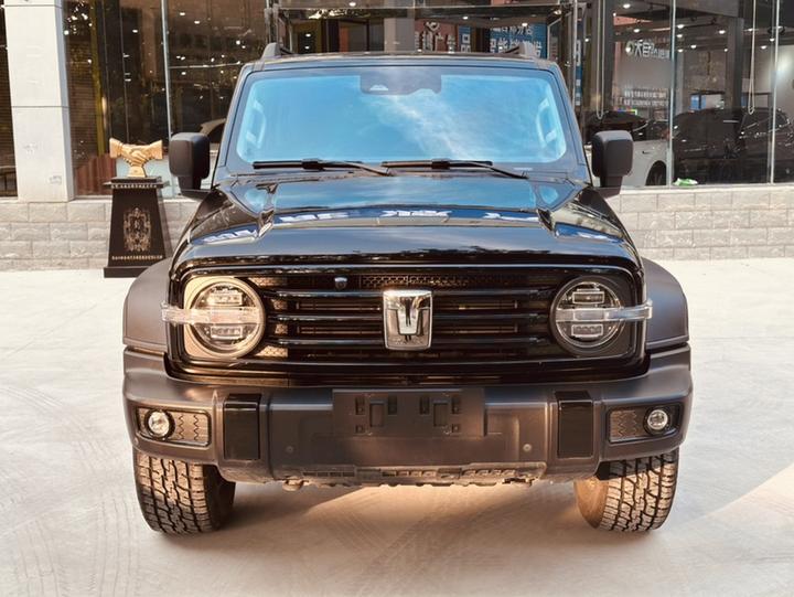 300 2023 Off-road 2.0T photo 2