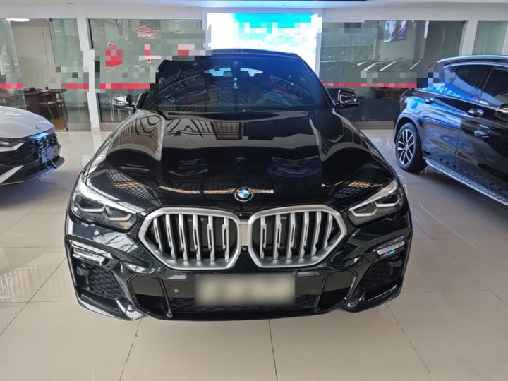 X6 2020 xDrive30i M Sport Package photo 2