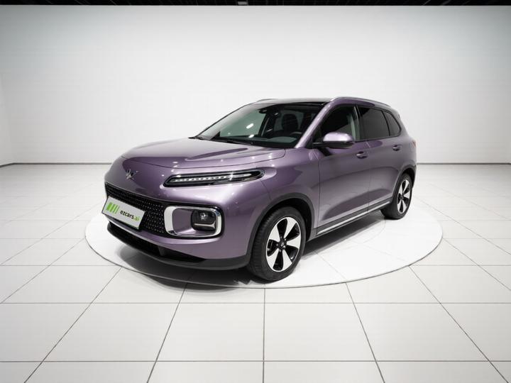 Wuling 2023 2.0L DHT Standard