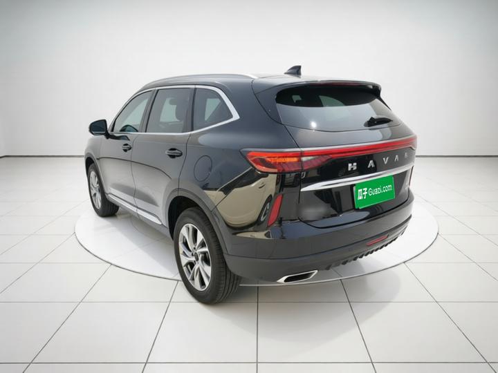 H6 EV 2023 DHT-PHEV 110KM photo 4