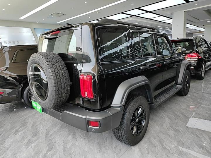 300 2021 Off-road 2.0T Conqueror photo 4