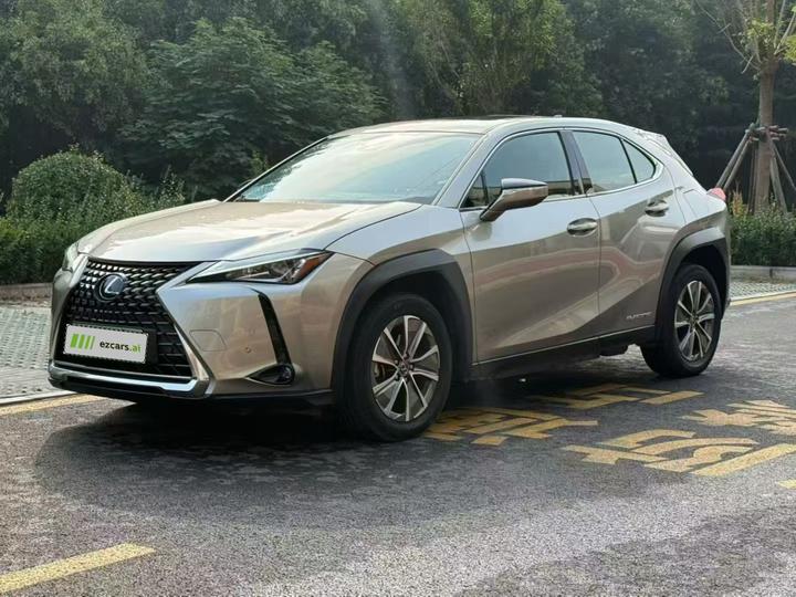 UX EV 2020 300e