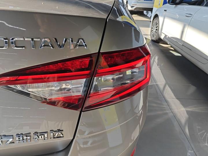 Octavia 2019 TSI230 DSG Luxury China V photo 7