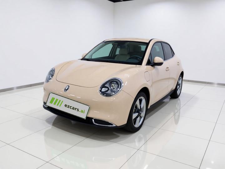 Good Cat 2023 401km Standard Range Luxury LFP
