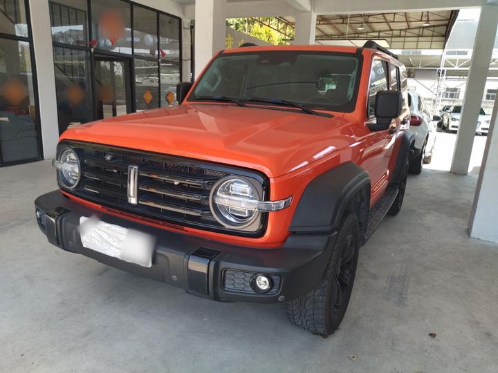 300 2021 Off-road 2.0T