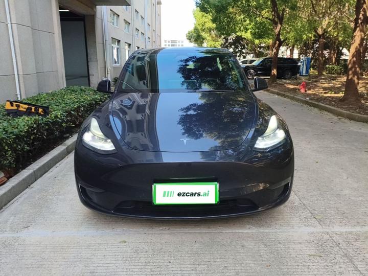 Model Y 2024 Long Range AWD photo 2