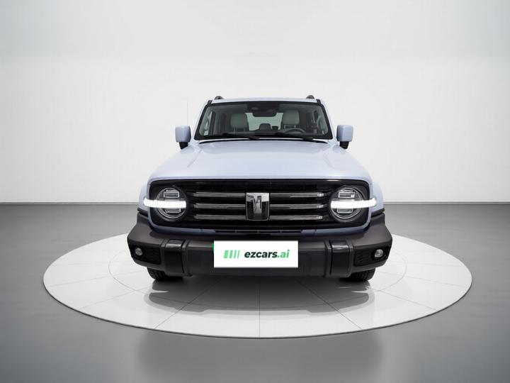 300 EV 2024 Hi4-T photo 2