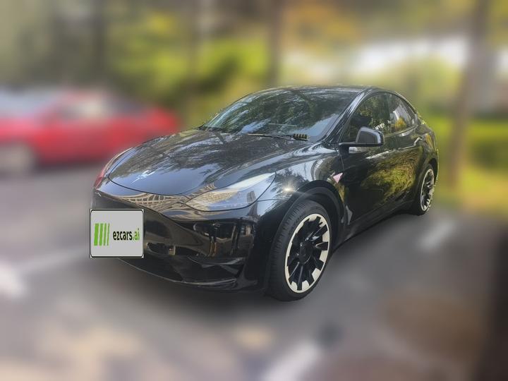 Model Y 2021 Standard Range RWD