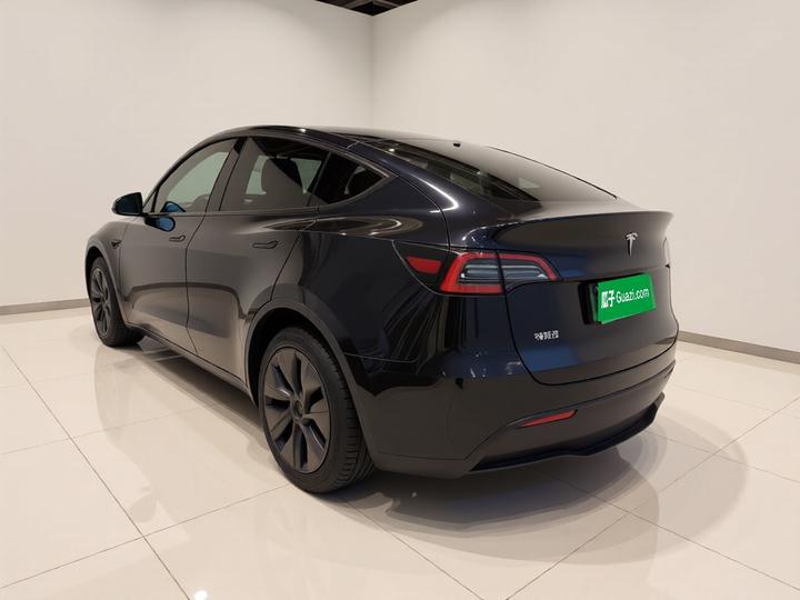 Model Y 2023 Long Range AWD photo 4