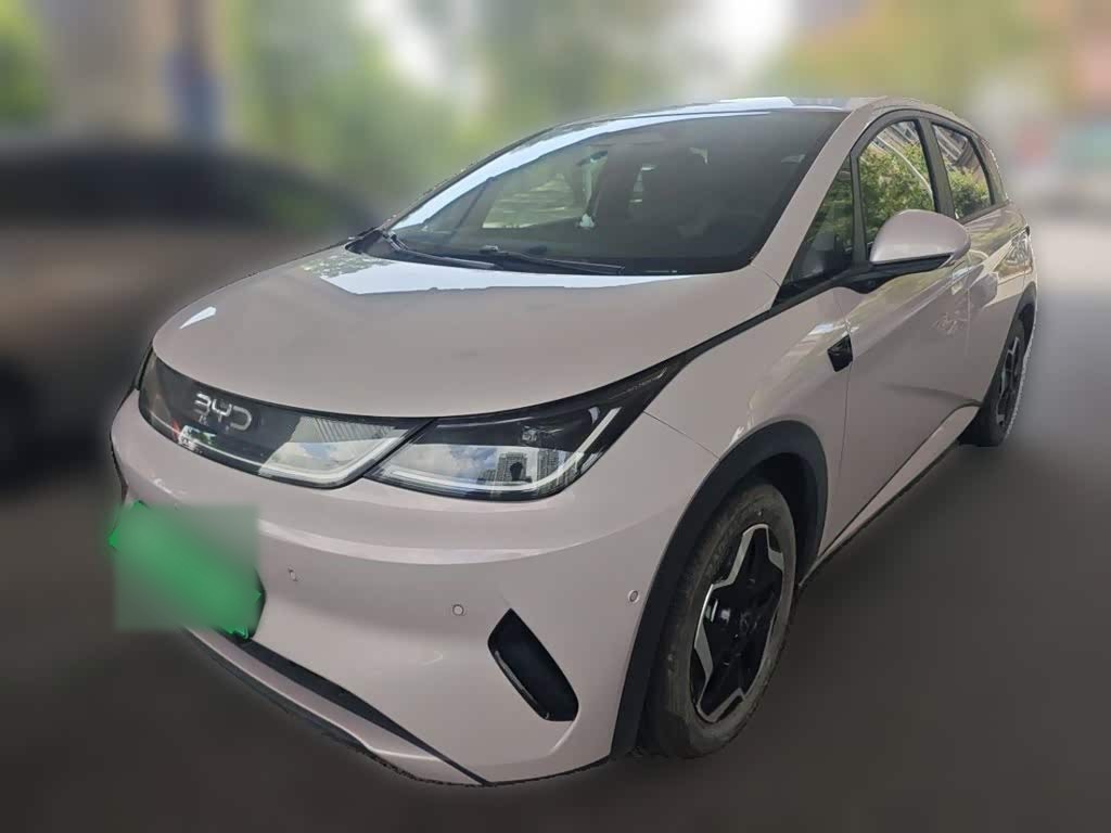 Dolphin 2025 ADAS 420km