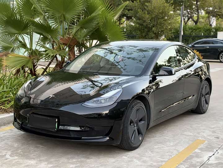 Model 3 2021 Standard Range RWD Upgraded