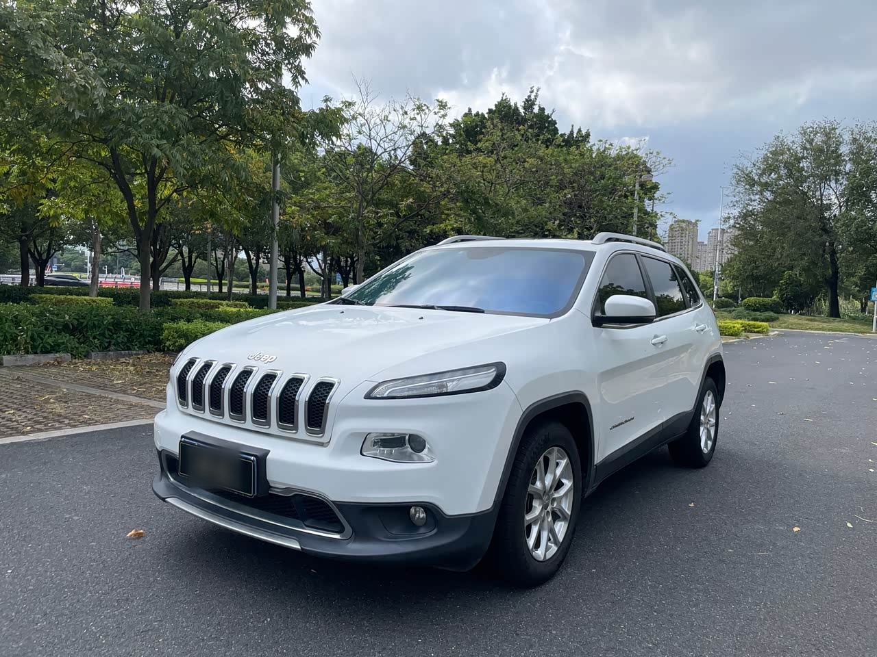 Cherokee 2019 2.0L RWD China V