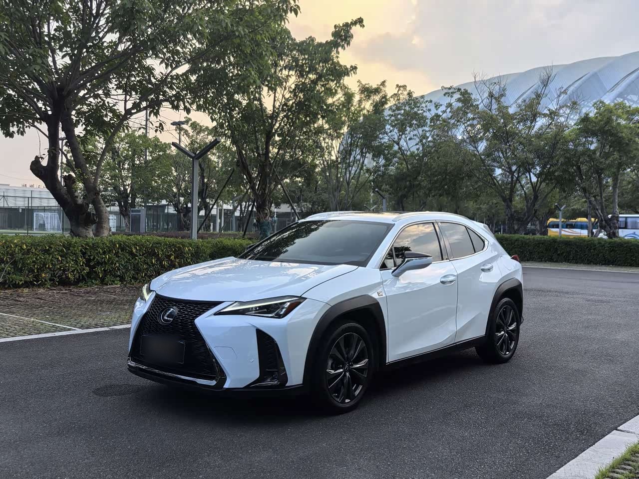 UX 2020 Facelift 200 F SPORT