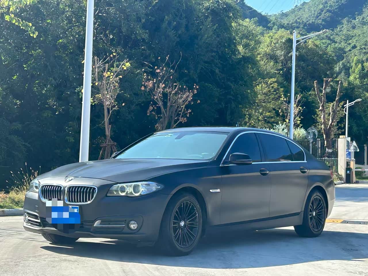 5 Series 2014 525Li Leading
