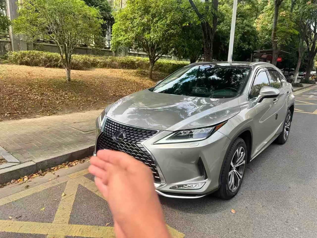 RX 2020 Facelift 300 AWD Elegant