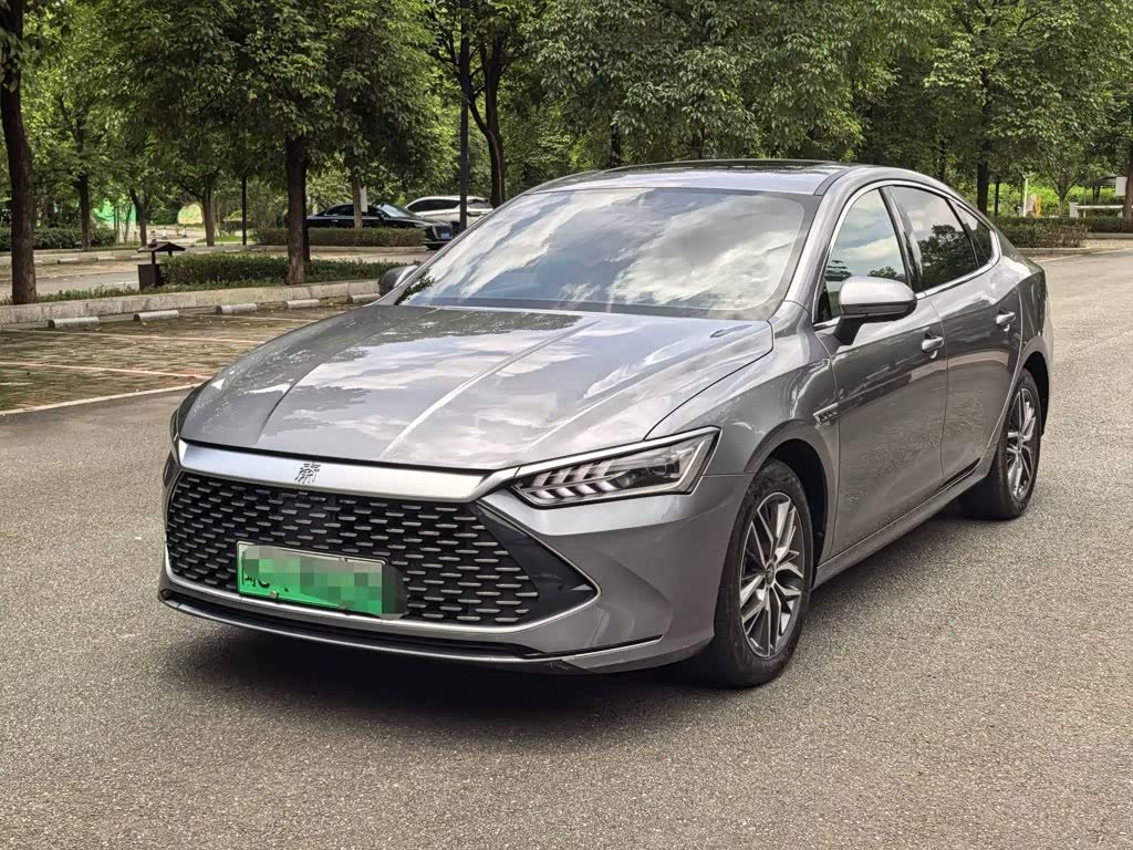 Qin PLUS 2024 Honor DM-i 55KM