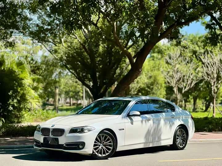 5 Series 2014 525Li Luxury Design Package