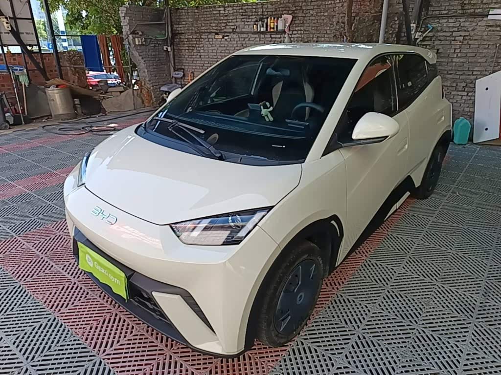 Seagull 2025 305km