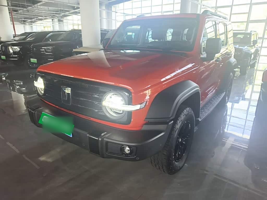 300 2025 2.0T Petrol Conqueror