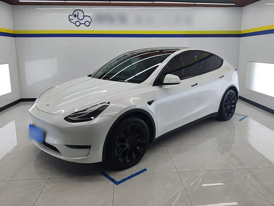 Model Y 2021 Standard Range RWD