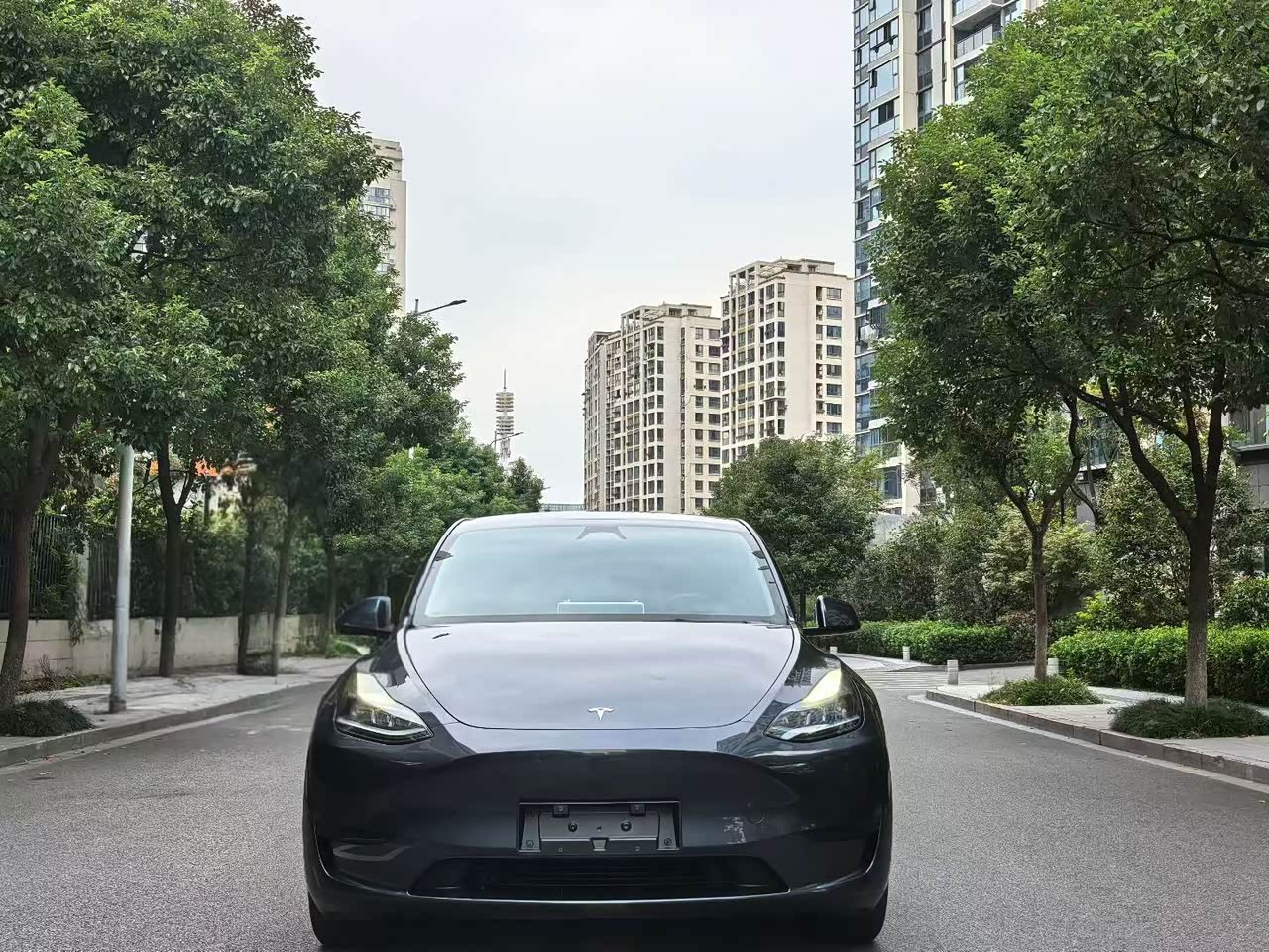 Model Y 2024 RWD