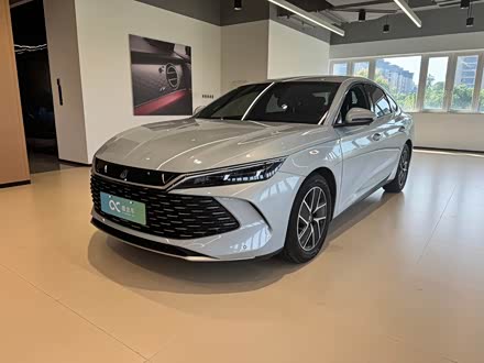 Qin L 2024 DM-i 80KM
