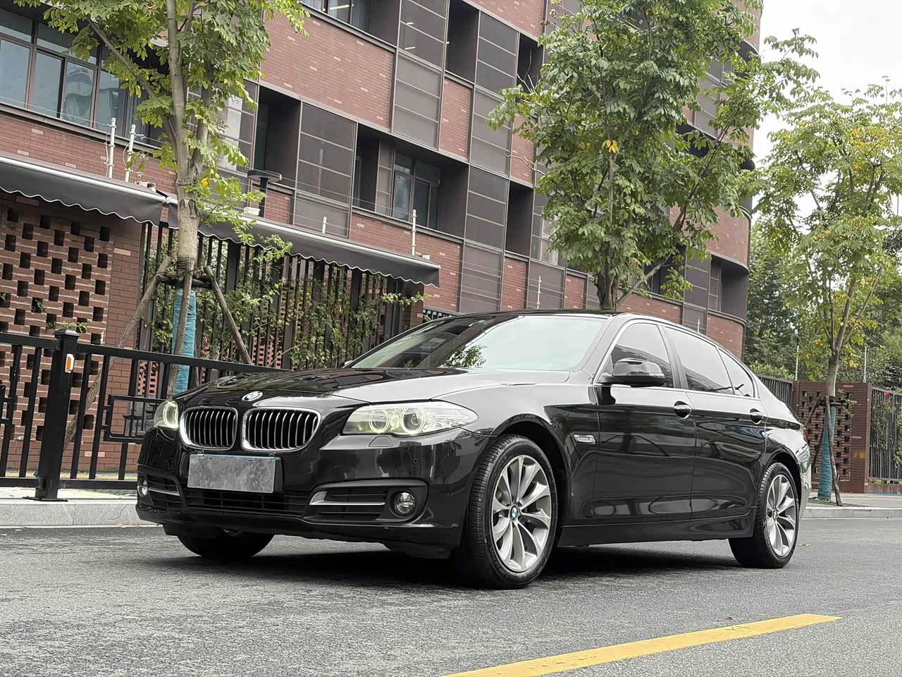 5 Series 2017 525Li Leading